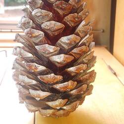 Fundstück und künftiger Begleiter