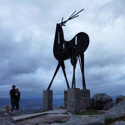 Miradouro do Cervo
