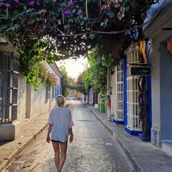 Buntes und blühendes Cartagena