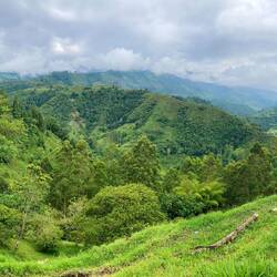 Aussicht unserer Unterkunft an trüben Tagen
