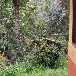 Vom Frühstückstisch aus