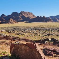 A green desert for a few weeks where all life explodes scrambling for some of the rain that fell.