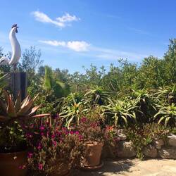 Einfach wunderschön.