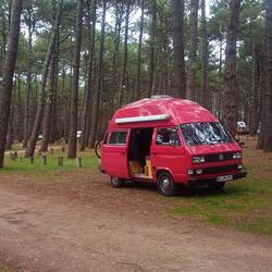 Stellplatz im nicht verbrannten Wald