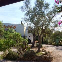 Gekonnt fahren sie durch die enge Einfahrt