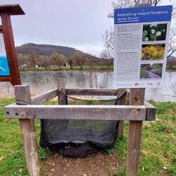 Ein Mülleimer für nicht heimische Pflanzen!🙄