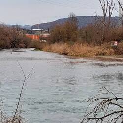 Die Mündung der Wutach!