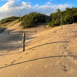 Weitläufige Dünenlandschaft