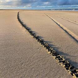 Spuren im Sand