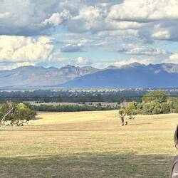 The Grampians in the background