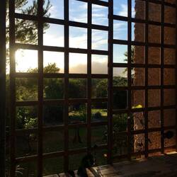 Blick durch das Kiwi-Gitter vom Appartement