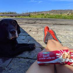 my favorite biscuits on the trail...and yes...Lupo loves them too