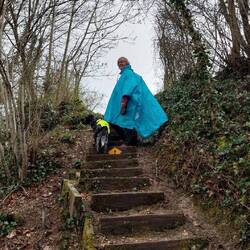 Rauf und runter, immer mit guter Ausschilderung!