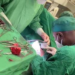 Naaien en let vooral op het bloedbad op de grond ...