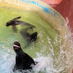 Er hat den Fisch gefangen!!!