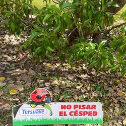 Rasen betreten verboten!