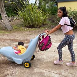 Delfin-Kinderwagen, wie passend!