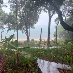 Tja, auch im Paradies regnet es zwischendurch 🤷‍♀️😄