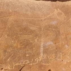 Zoom-in: desert lion attacking an antilope