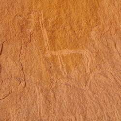 Our first rock engravings, a desert Orynx antilope