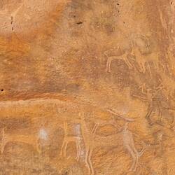 Dogs chasing antilopes