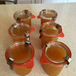 Eingekocht und bereit für die Vorratskammer