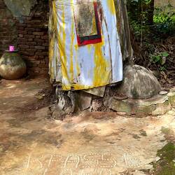 The tree that was King Kpassè