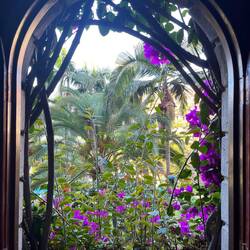 Fenster zum Pool-Garten