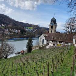 Beide Rheinseiten gehören zur Schweiz!