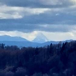 Der erste Alpenblick!
