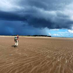Oh je! Ein Gewitter naht!