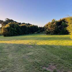 Nochmal beschaulich: Ambury park