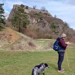Ein Gewitter rückt näher!
