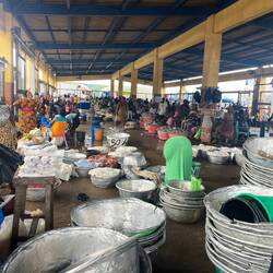 Fish have been done for the day...cleanup time