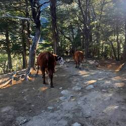 Uf der Wanderig zum Cajon de Azul