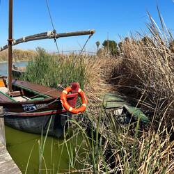 Albufera National Parc