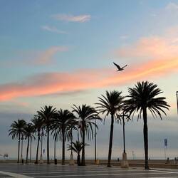Sunrise at Valencia Beach