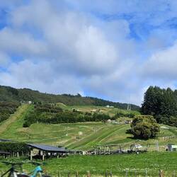 Zoom in... this is zoreb? Where you get in a clear ball and roll down the hill.