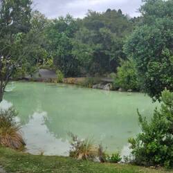 Also part of the hot springs or thermal pool