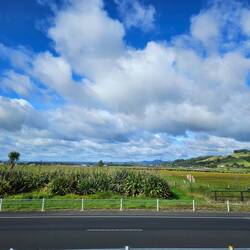 Blue skies for miles