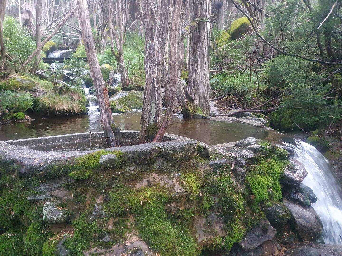 Meadow walk at Thredbo with weir for local water supply