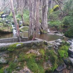 Meadow walk at Thredbo with weir for local water supply