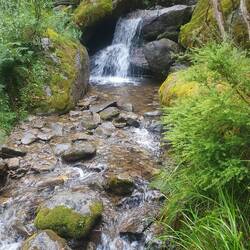 Meadow walk, Thredbo