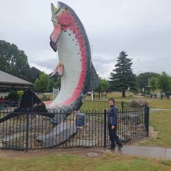 The big Trout, Abaminaby