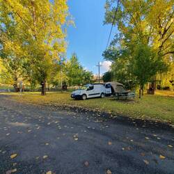Camp site at Talbingo - Autumn colours beautiful. Leaves stick to everything!