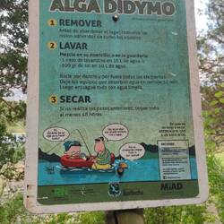 Gibt wohl ne Alge im Wasser die deine Klamotten färbt