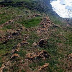 Da hinten steht irgendwo der Bus