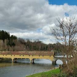 Alte Zollbrücke in Rheinau!