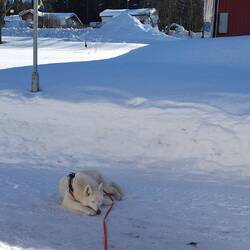 Hinter unserer Hütte.