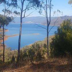 View over Blowering Dam where the world water speed record was set in the 1970's